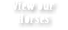 View our Horses